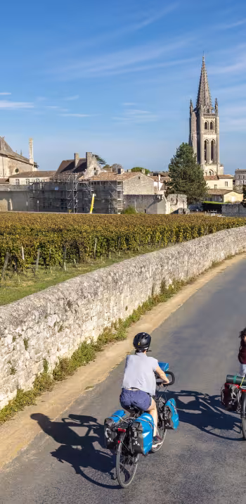 vignoble-gironde.jpg