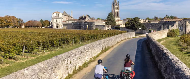 vignoble-gironde.jpg