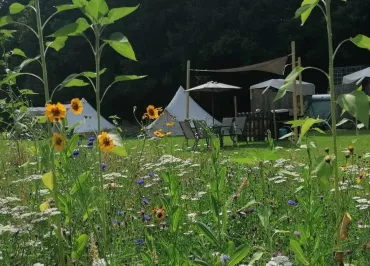 Eco-Glamping "Au Pré Fleuri"