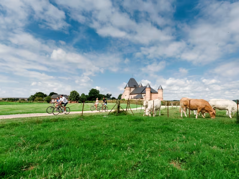 Vaches, bocage et pédalage devant l'église fortifiée de Beaurain