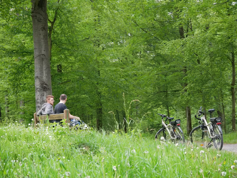 À vélo en forêt de Fourmies