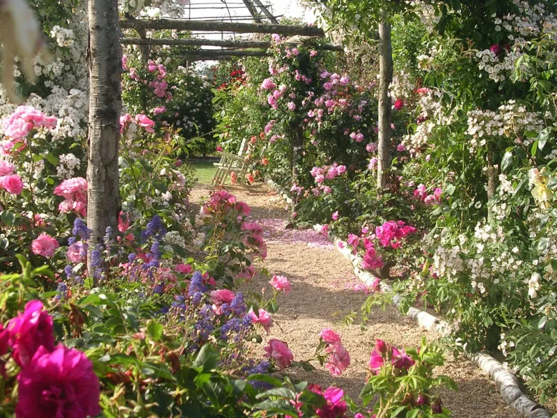 Jardin de Roquelin