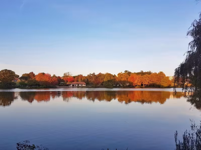 Lac à St-Paul-lès-Dax