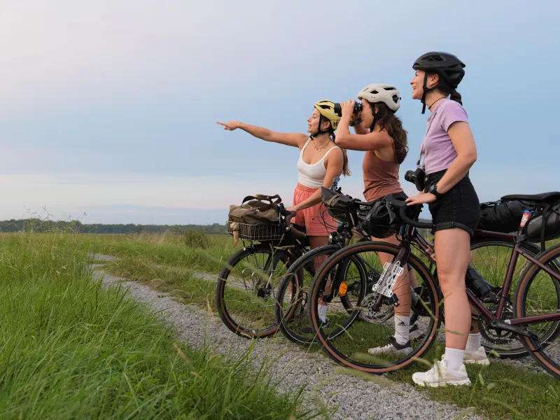 A vélo dans les Landes