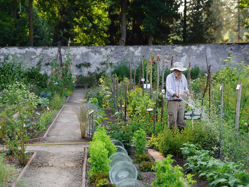 Le potager de la maison Caillebotte