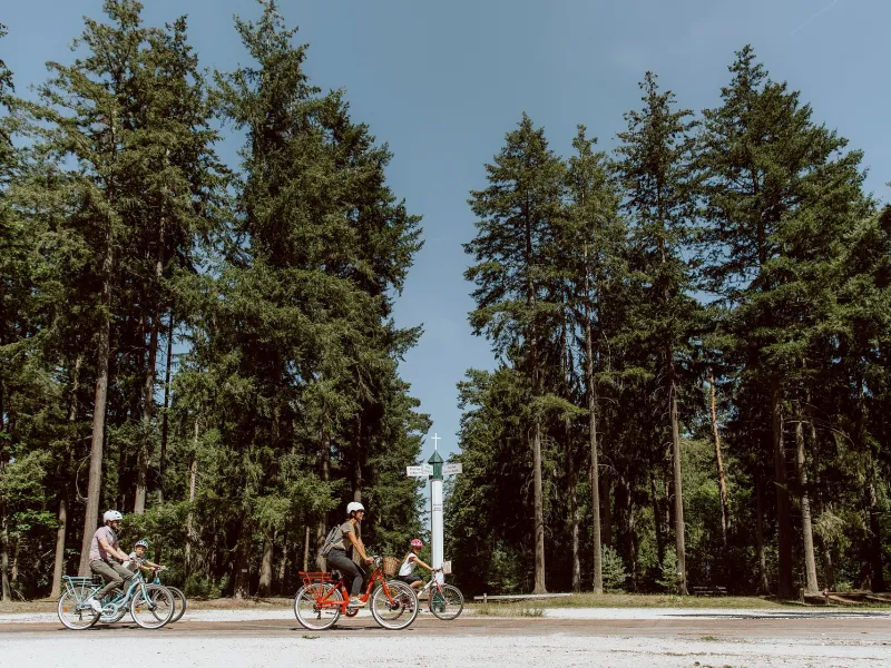 Balade en forêt d'Ermenonville