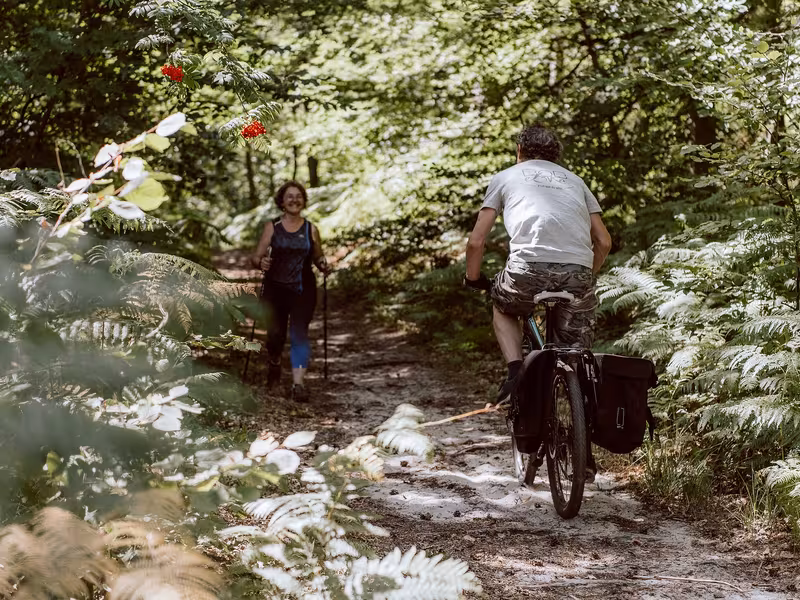 Cycliste chargé en forêt d'Ermenonville