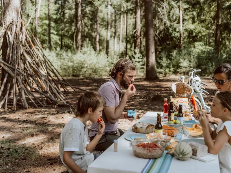 Pique-nique en forêt d'Ermenonville