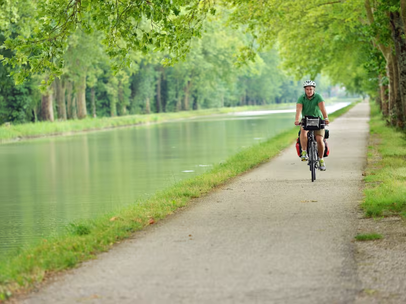 Balade à vélo sous les platanes du canal de Garonne
