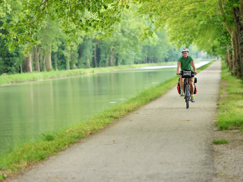 Balade à vélo sous les platanes du canal de Garonne