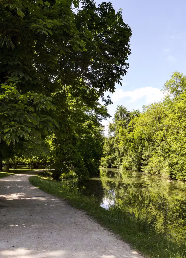 Les bords de l'Yerres 