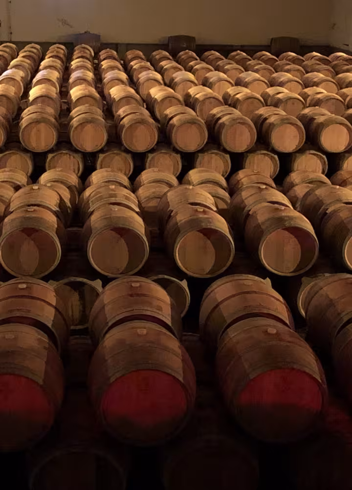 Cave des vignerons de Buzet