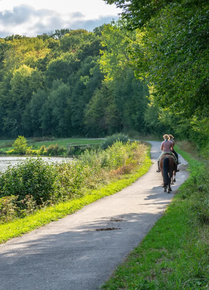 Balade à cheval à Valjoly