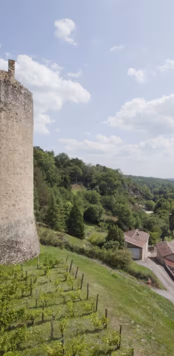 Vue du château de Saint-Germain de Confolens