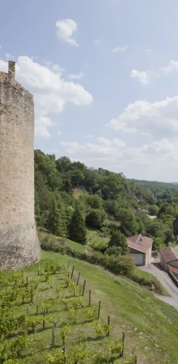 Vue du château de Saint-Germain de Confolens
