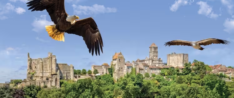 Aigles au dessus de Chauvigny