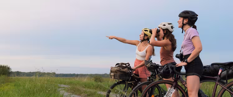 A vélo dans les Landes