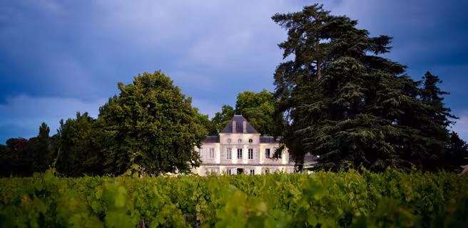 Château Haut Nouchet