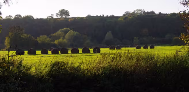 La Ferme de Courcelles, gite en pays de Thiérache