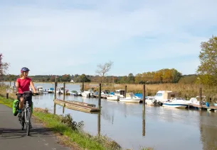 The Adour, a salmon river