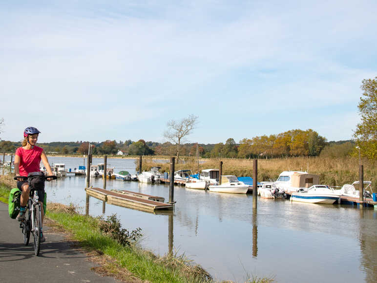 The Adour, a salmon river